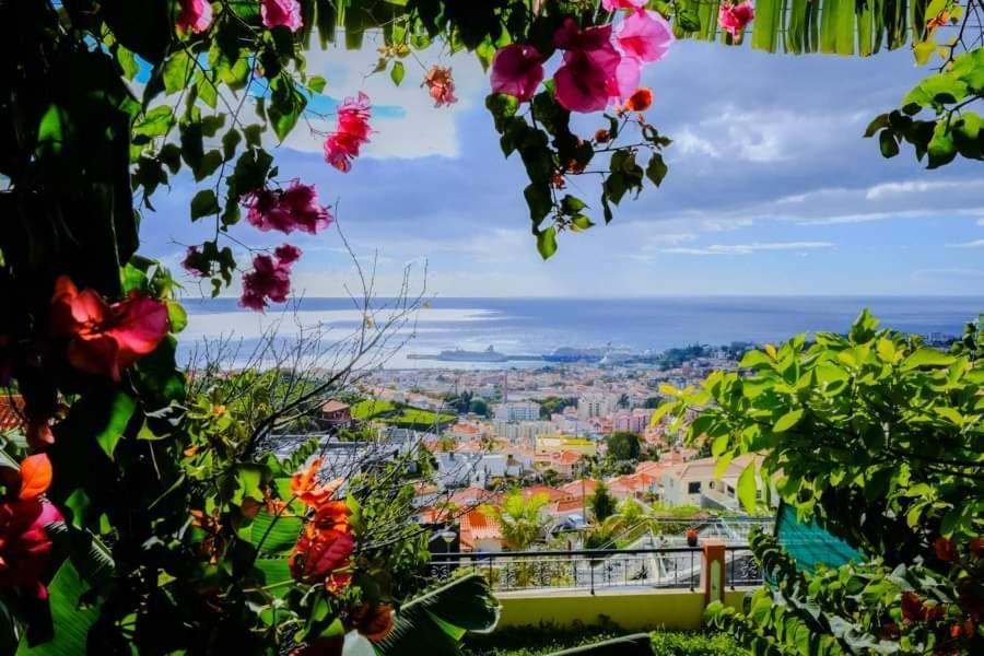 Granny'S House View Villa Funchal  Eksteriør billede