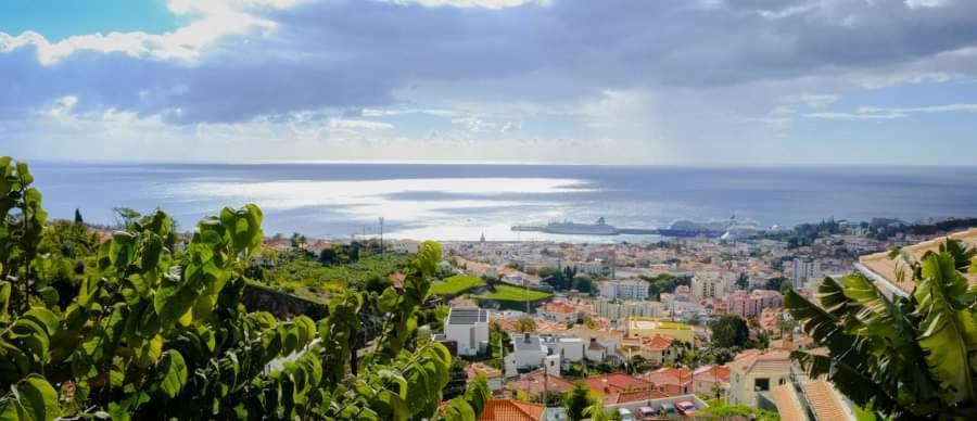 Granny'S House View Villa Funchal  Eksteriør billede